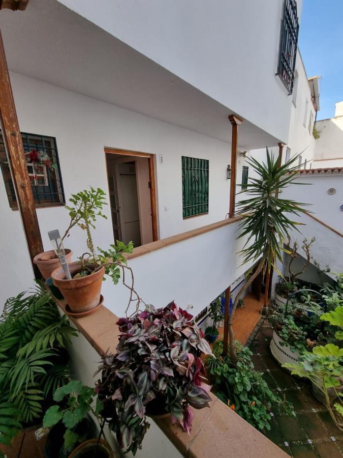 Apartamento Entre Patios San Basilio Lejlighed Córdoba Eksteriør billede